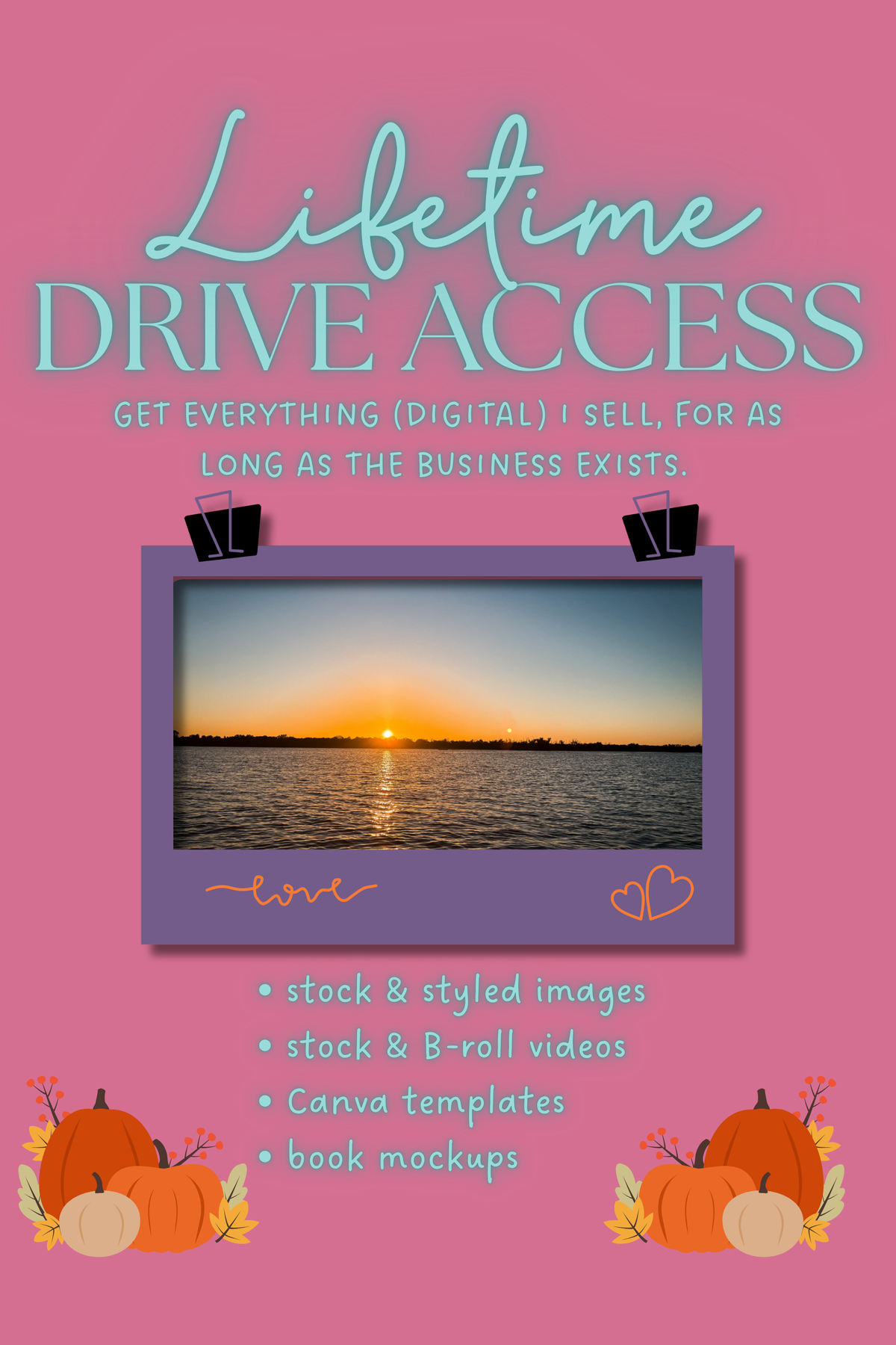 Lifetime Drive